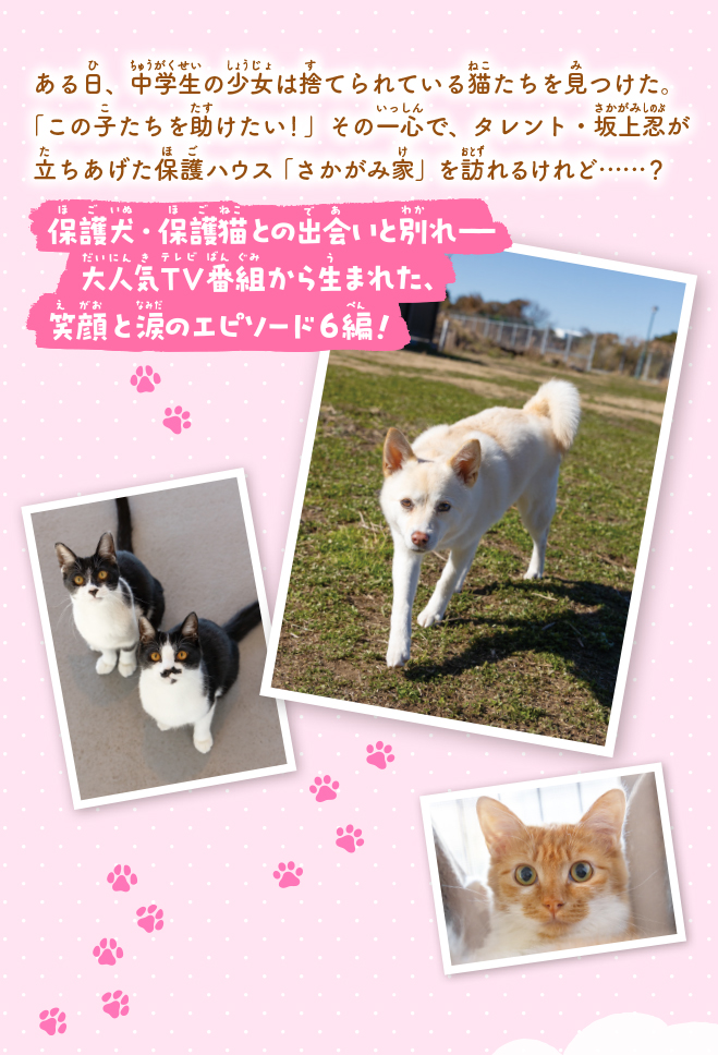 坂上どうぶつ王国　ノベライズ　保護犬・保護猫ストーリー