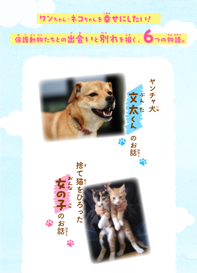 坂上どうぶつ王国　ノベライズ　保護犬・保護猫ストーリー