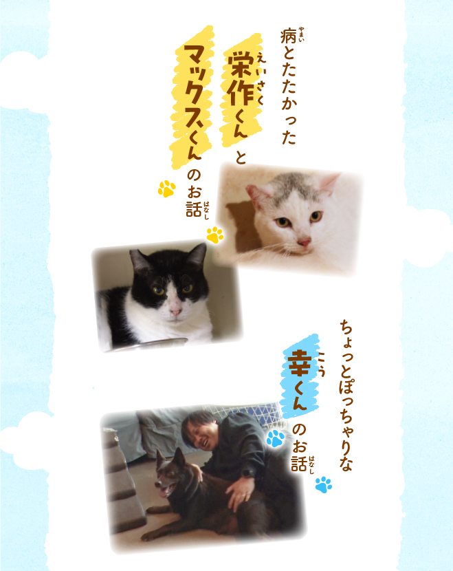 坂上どうぶつ王国　ノベライズ　保護犬・保護猫ストーリー