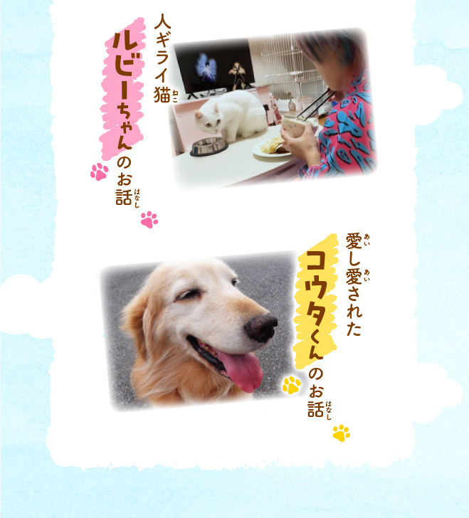 坂上どうぶつ王国　ノベライズ　保護犬・保護猫ストーリー