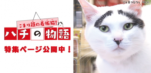 こまり顔の看板猫！ハチの物語 | 集英社みらい文庫